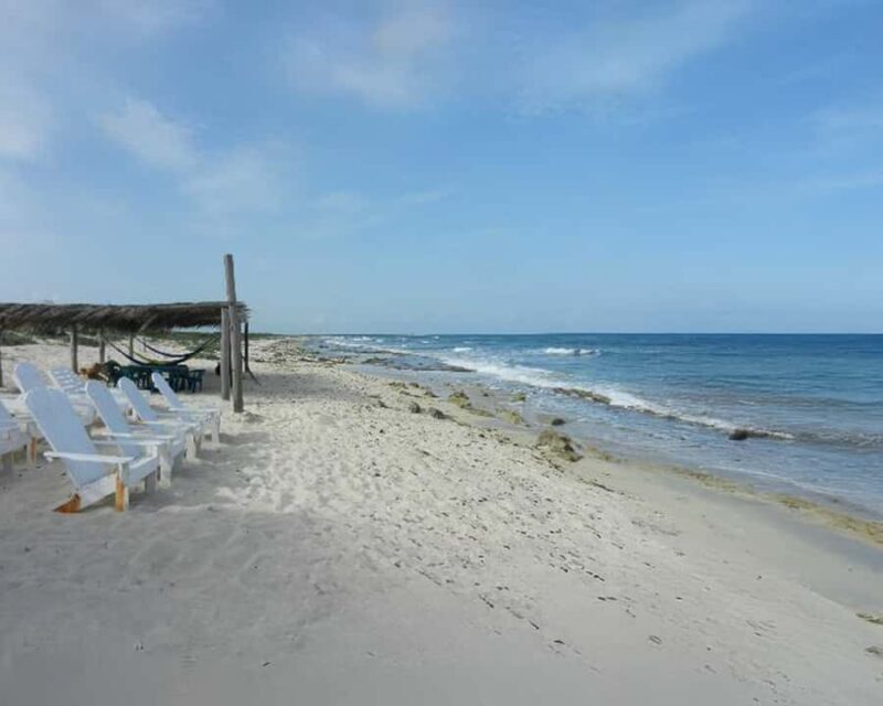 Cozumel: Private Snorkel Experience at Skyreef Beach Club - Frequently Asked Questions