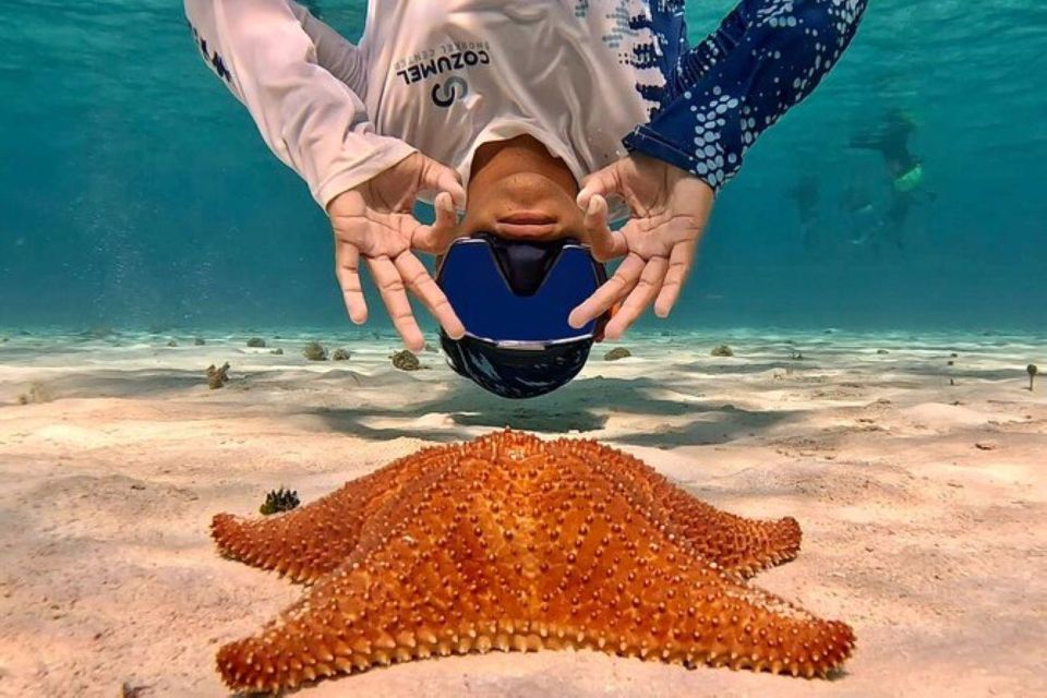 Cozumel: Private Snorkeling and Charter Experience - Key Points