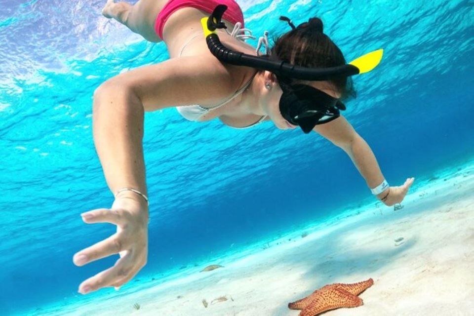 Cozumel: Private Snorkeling and Charter Experience - Unparalleled Snorkeling Adventure