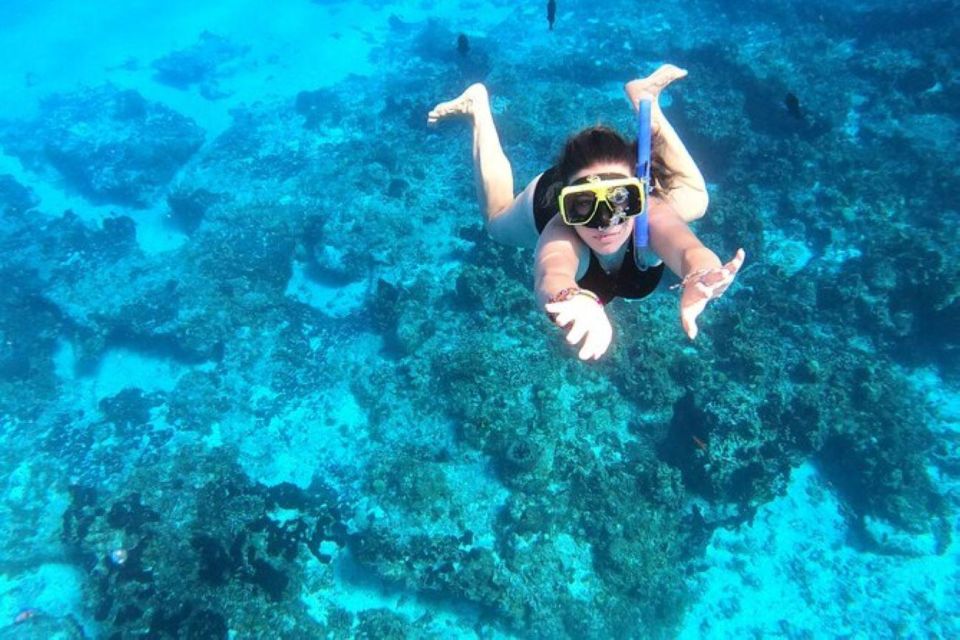 Cozumel: Private Snorkeling and Charter Experience - Experienced Crew for Memorable Excursion
