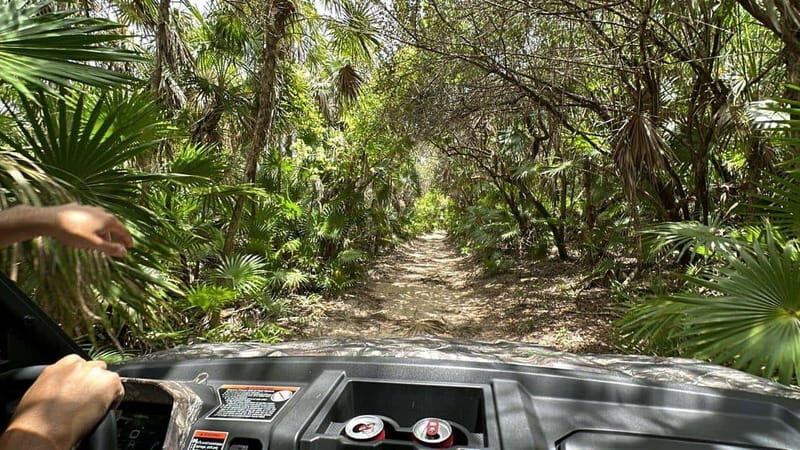 Cozumel: Private Xrail Buggy Adventure to Virgin Beach - Exploring Cozumel’s Off-road Charm