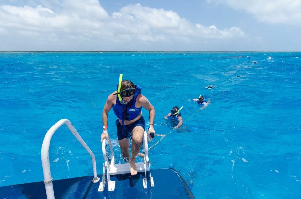 Cozumel: Reef Adventure With Snorkeling and Lunch - Pickup and Cancellation Policy