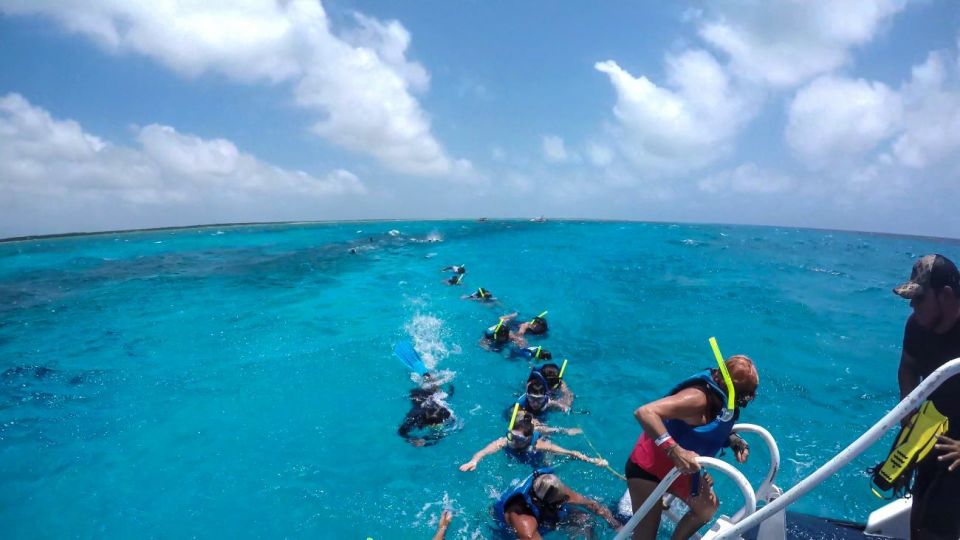 Cozumel: Reef Adventure With Snorkeling and Lunch - Restrictions and Requirements