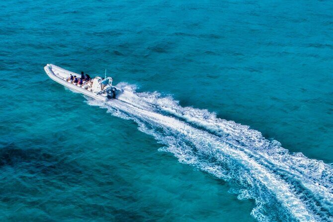 Cozumel Reef Snorkeling Tour - FAQs