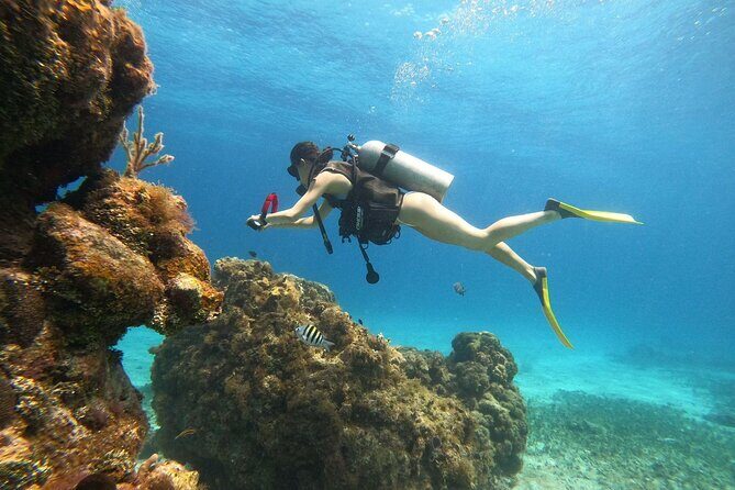 Cozumel Scuba Dive at Chankanaab - The Group Size and Atmosphere