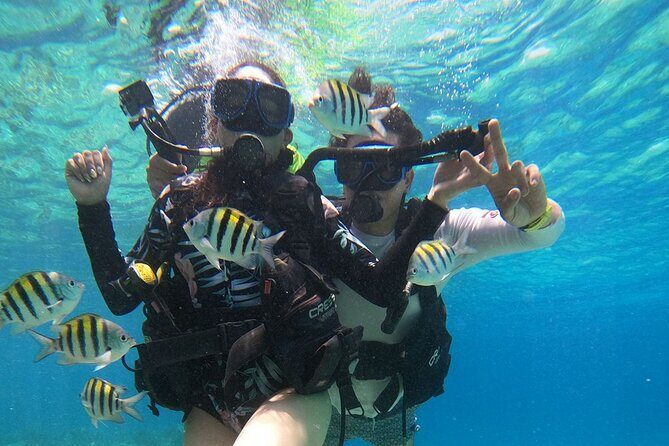 Cozumel Scuba Dive at Chankanaab - Practical Details