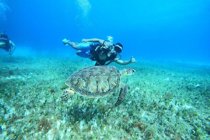 Cozumel Scuba Dive at Chankanaab - The Sum Up
