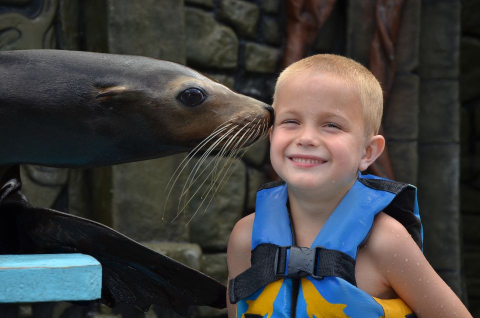 Cozumel: Sea Lion Program at Chankanaab Beach Adventure Park - Key Points