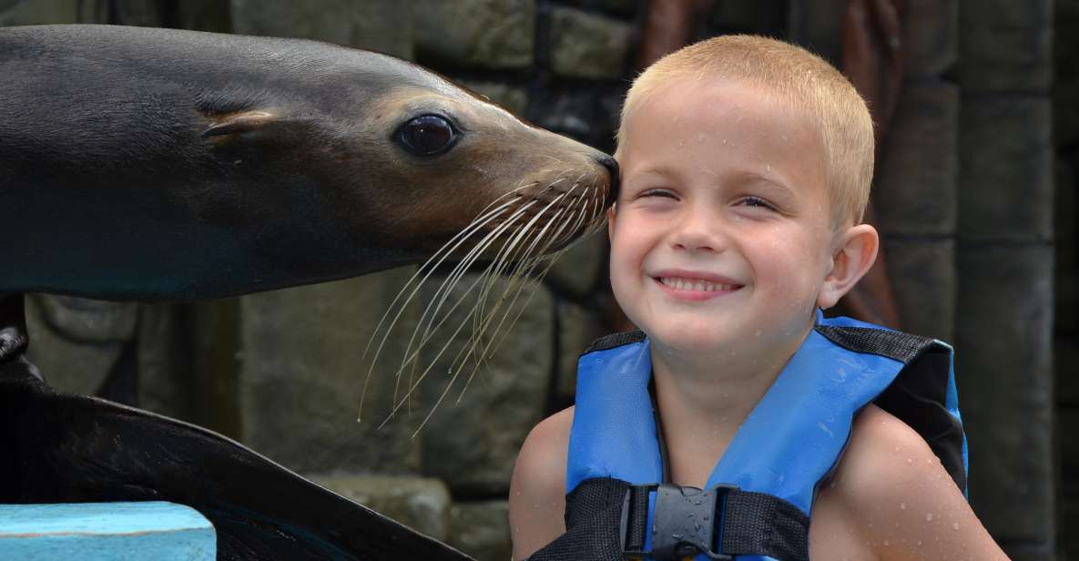 Cozumel: Sea Lion Program at Chankanaab Beach Adventure Park - Snorkeling and Underwater Exploration