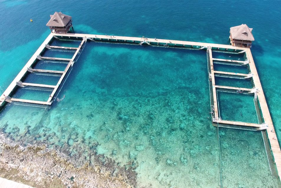 Cozumel: Sea Lion Program at Chankanaab Beach Adventure Park - Hugging and Swimming With Sea Lions
