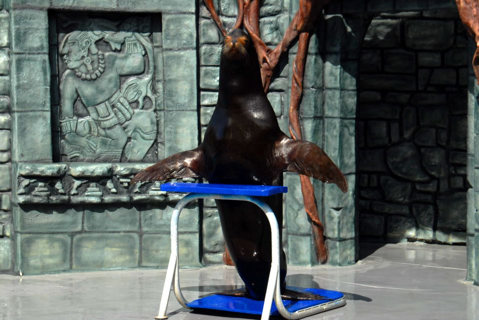 Cozumel: Sea Lion Program at Chankanaab Beach Adventure Park - Package Inclusions and Highlights