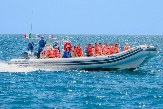 Cozumel Sea Safari Snorkeling Tour - FAQs