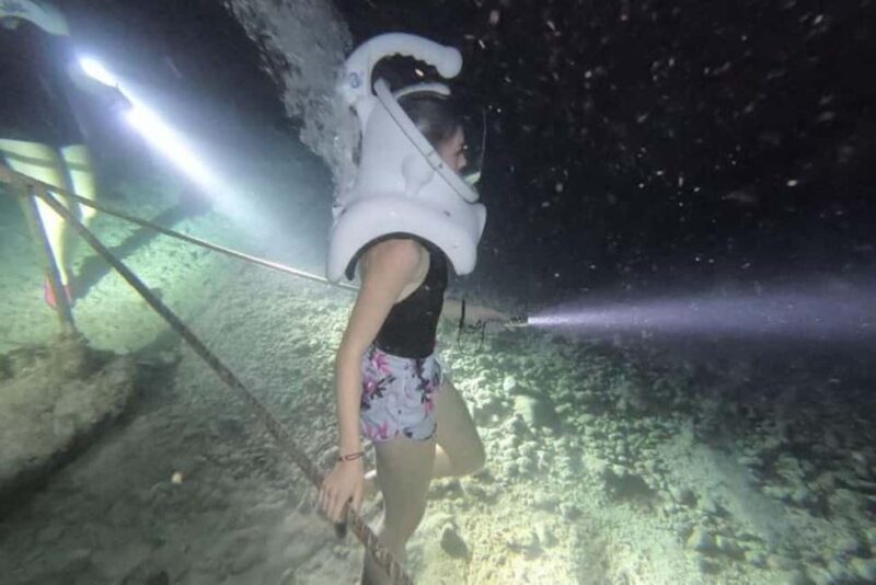Cozumel: Sea Trek Underwater Night Dive Experience - An Up-Close Look at the Underwater Night Journey