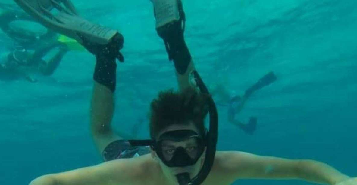Cozumel: Shore Snorkel & Taco Workshop Experience - Key Points