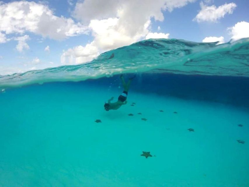 Cozumel: Shore Snorkel & Taco Workshop Experience - Safety Briefing and Instructions