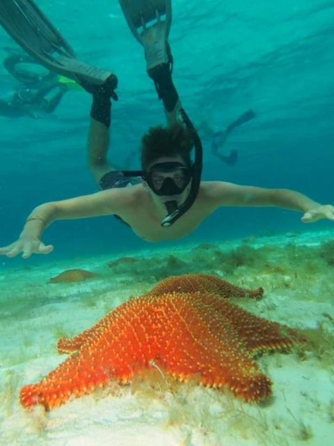 Cozumel: Shore Snorkel & Taco Workshop Experience - Frequently Asked Questions