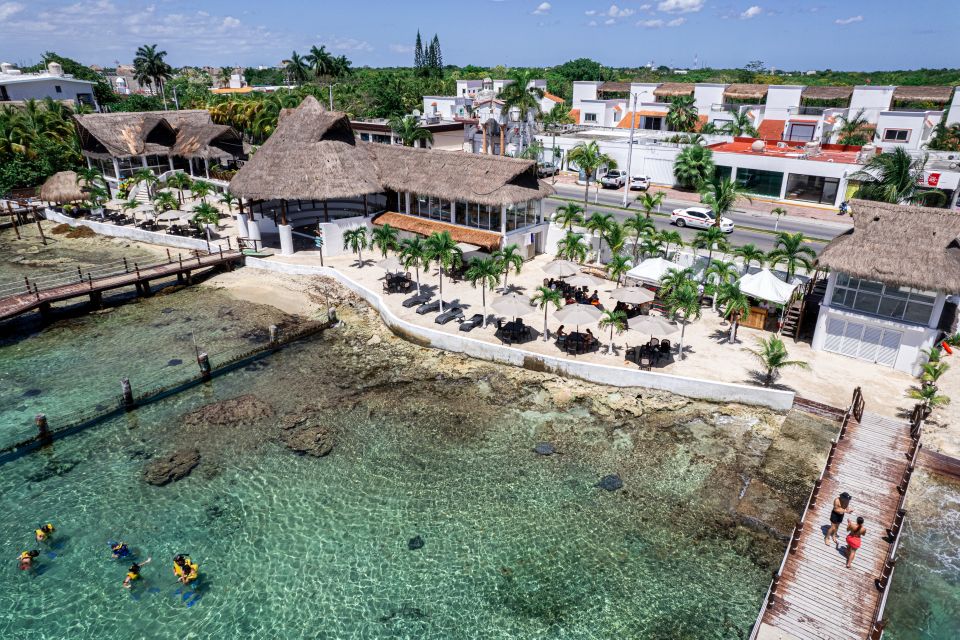 Cozumel: Snorkel and Swim With Stingrays - Vibrant Coral Reef