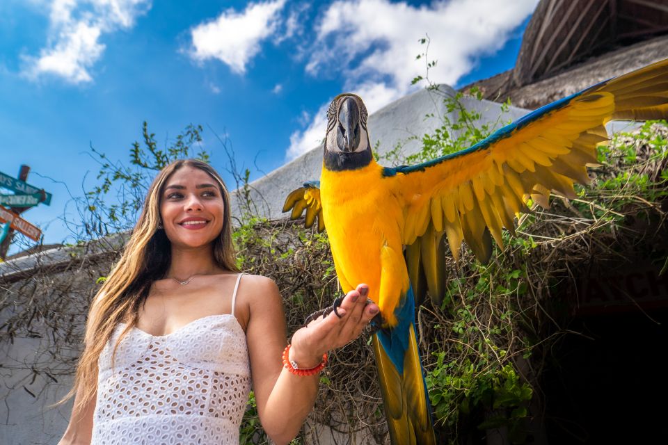 Cozumel: Snorkel and Swim With Stingrays - Frequently Asked Questions