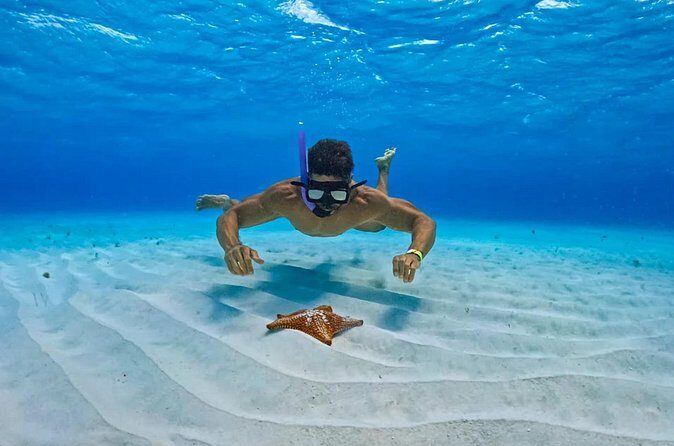 Cozumel: Snorkel at El Cielo, Colombia Reef & Palancar Reef - The Sum Up