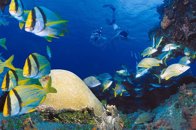 Cozumel & Snorkel Day Trip From Cancun - Pricing and Additional Costs