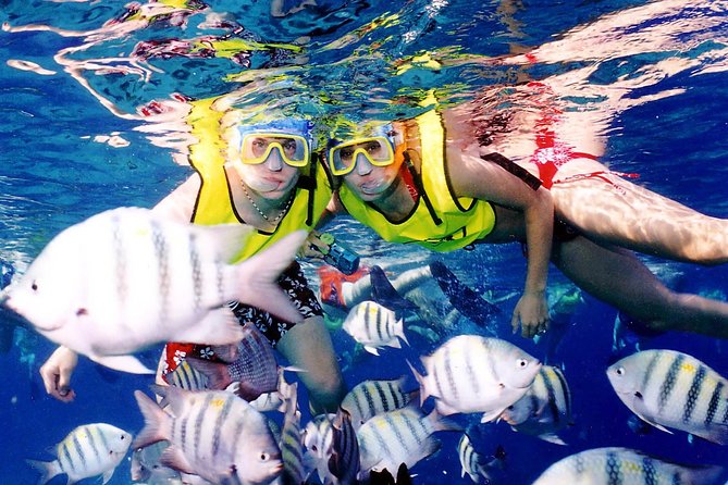 Cozumel & Snorkel Day Trip From Cancun - Recommendations for Travelers