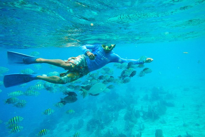 Cozumel & Snorkel Day Trip From Cancun - Opportunities for Improvement