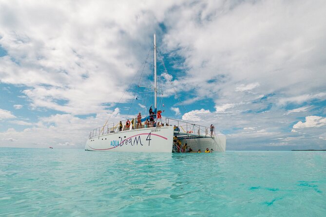 Cozumel Snorkel Tour: Coral Reefs, El Cielo & Beach Break® - Meeting Points and Logistics