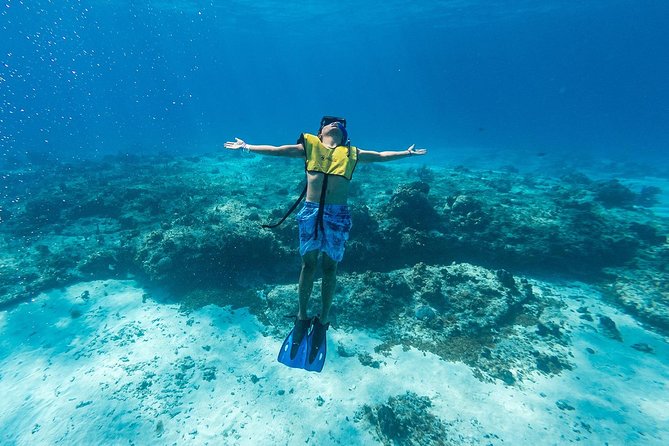 Cozumel Snorkel Tour: Coral Reefs, El Cielo & Beach (Hotel Pick Up) - Snorkeling Experience