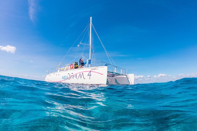 Cozumel Snorkel Tour: Coral Reefs, El Cielo & Beach (Hotel Pick Up) - Exploring Cozumels Marine Life