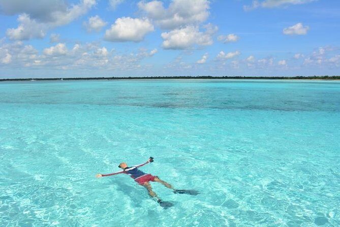 Cozumel Snorkeling Adventure full day Tour - The Experience in Detail: What to Expect from Start to Finish