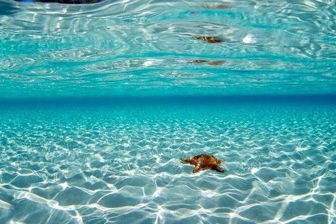 Cozumel Snorkeling Adventure full day Tour - Who Should Consider This Tour?