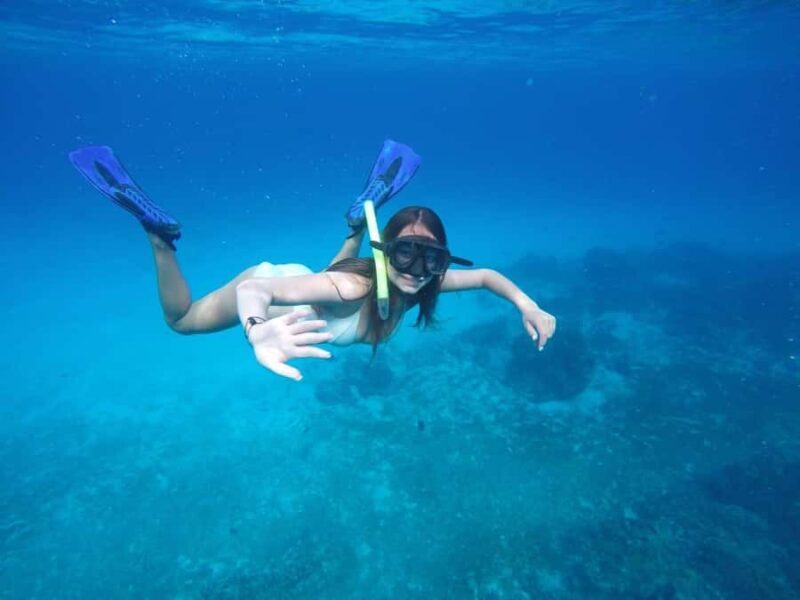 Cozumel: Snorkeling at Playa El Cielo with drinks, ceviche, and more - What to Expect from the Tour
