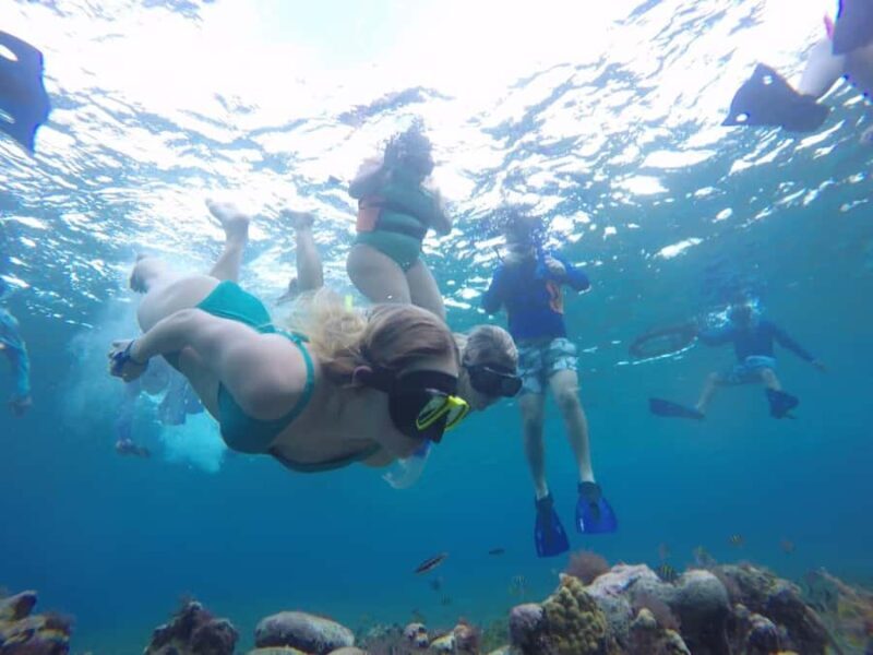Cozumel: Snorkeling at Playa El Cielo with drinks, ceviche, and more - Who Is This Tour Best For?