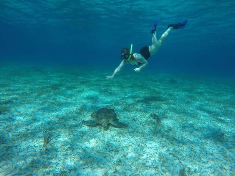 Cozumel: Snorkeling at Playa El Cielo with drinks, ceviche, and more - FAQ