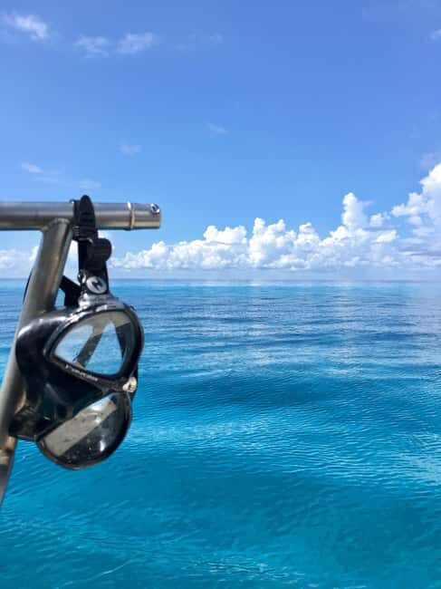 Cozumel: Snorkeling Boat Tour - Key Points