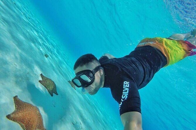 Cozumel Snorkeling Experience! El Cielo Reef from Cancun & Playa del Carmen - Exploring the Cozumel Snorkeling Experience from Cancun & Playa del Carmen