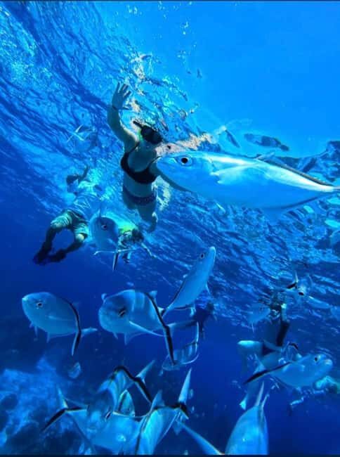 Cozumel: snorkeling on reefs + visit to "El Cielo" - An Honest Look at the Cozumel Snorkeling Tour