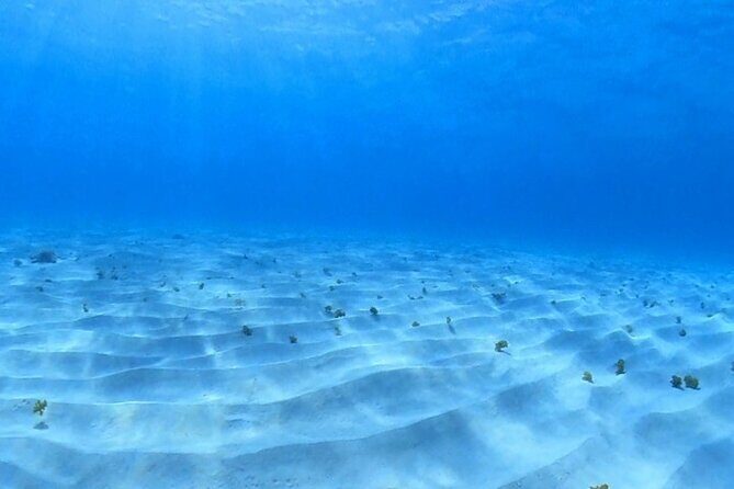 Cozumel Snorkeling Reef Experience with Ceviche and Beers - What’s Included and What’s Not