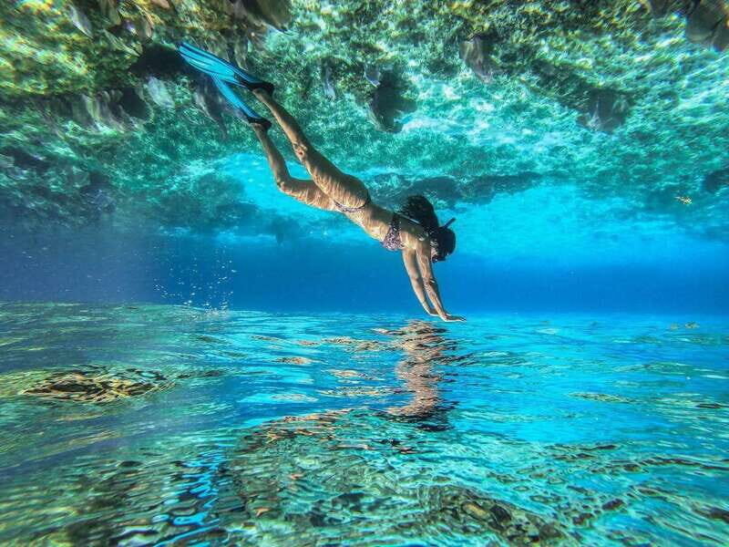 Cozumel: Snorkeling Tour at El Cielo Beach - Key Points