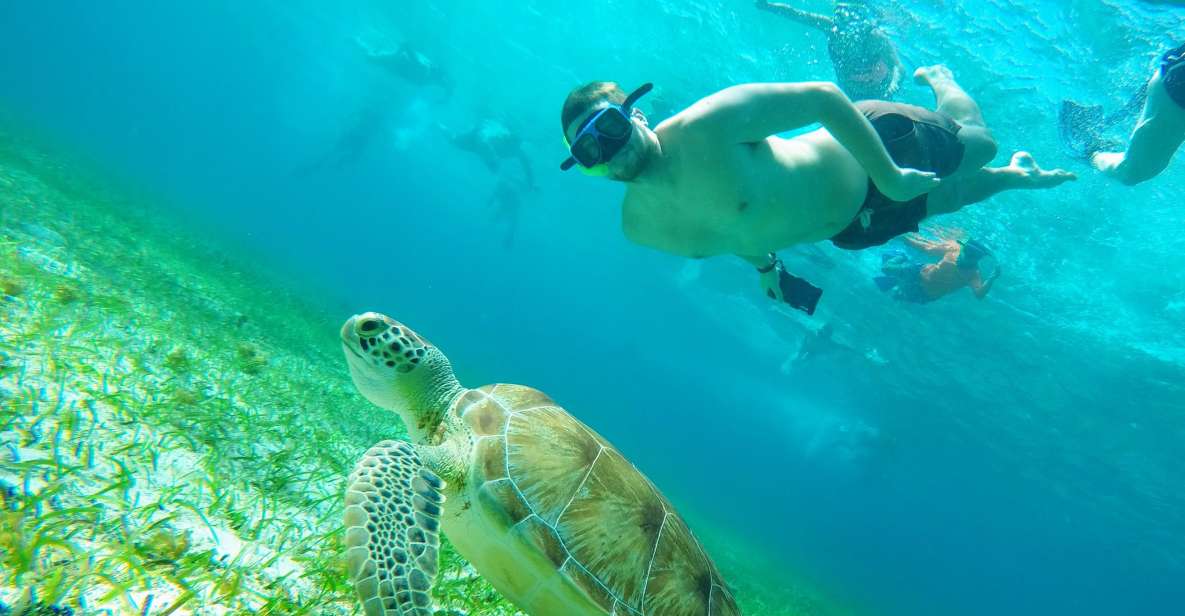 Cozumel: Starfish, Stingrays, and Turtle Bay Snorkeling Tour - Departure Locations