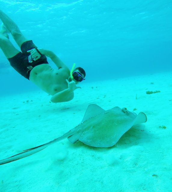 Cozumel: Starfish, Stingrays, and Turtle Bay Snorkeling Tour - What to Expect