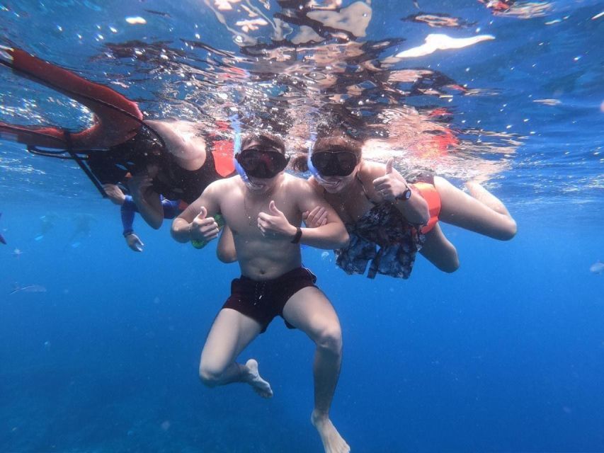 Cozumel: Starfish, Stingrays, and Turtle Bay Snorkeling Tour - Frequently Asked Questions