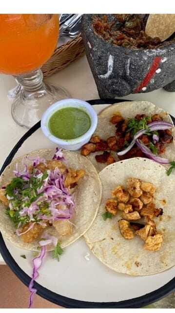 Cozumel: Taco and Tequila Tour with Snorkeling and Mojito - Final Thoughts