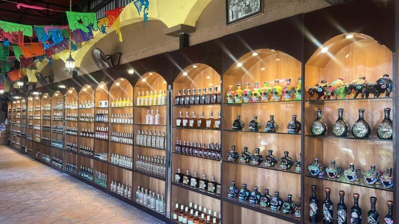 Cozumel: Tequila, Mezcal and Espadrilles Experience Tour - Why This Tour Works Well