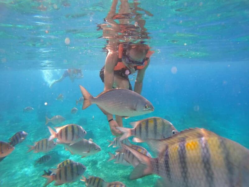 Cozumel: Transparent Boat Tour with Snorkeling and 2 Beers - FAQ