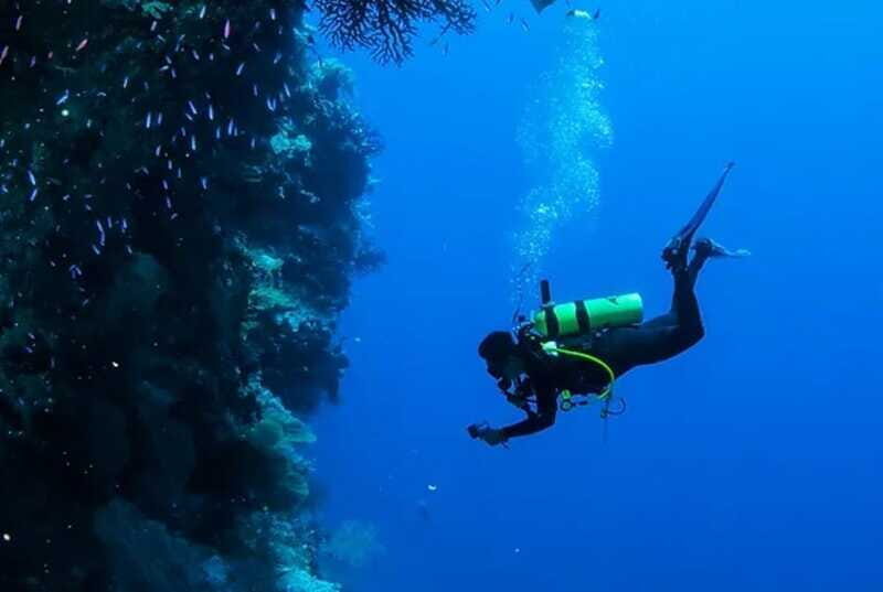 Cozumel: Twilight and Night Dive for Certified Divers - The Sum Up