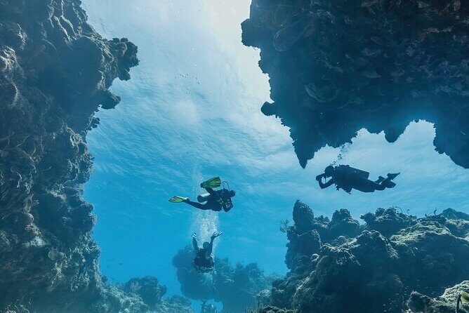 Cozumel underwater 2 Tank Dive by boat - What Makes This Tour Stand Out?