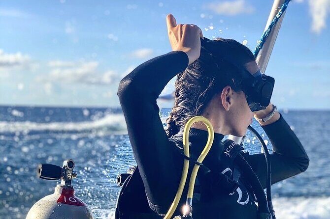 Cozumel underwater 2 Tank Dive by boat - What Past Customers Say