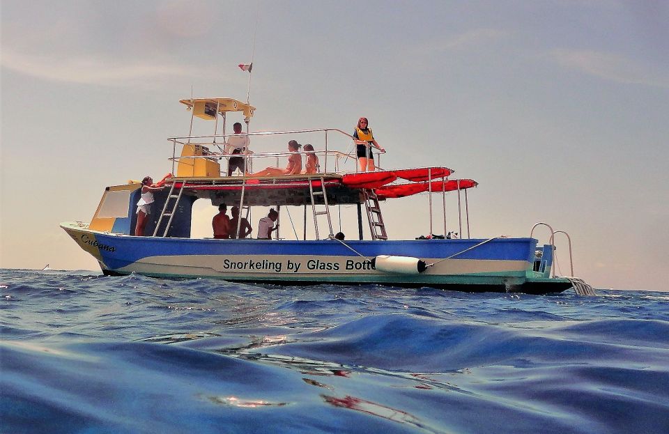 Cozumel: VIP Glass Bottom Boat & Snorkeling 3 Reefs Tour - Highlights of the Experience