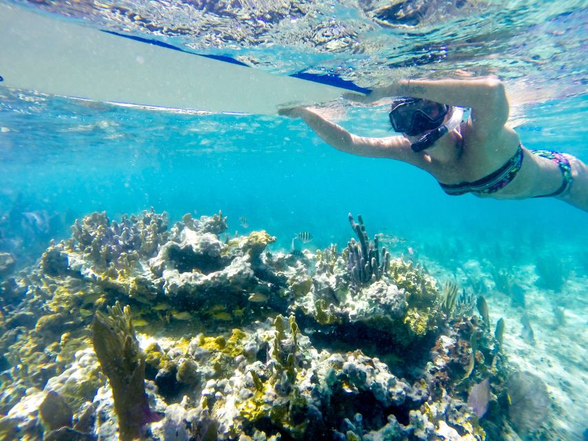 Cozumel: West Coast E-Bike and Snorkeling Tour - Key Points